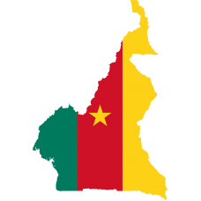 Cameroon 2025 Fresh Update: Consumer Email Database