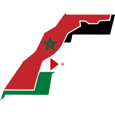 Western Sahara 2025 Fresh Update: Consumer Email Database