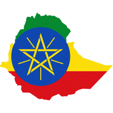 Ethiopia 2025 Fresh Update: Consumer Email Database