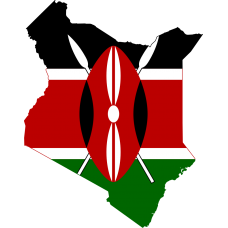 Kenya 2025 Fresh Update: Consumer Email Database