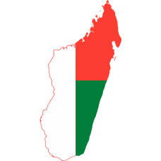 Madagascar 2025 Fresh Update: Consumer Email Database