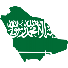 Saudi Arabia 2025 Fresh Update: Consumer Email Database