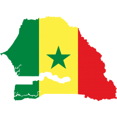 Senegal 2025 Fresh Update: Consumer Email Database