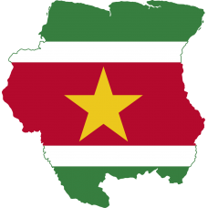 Suriname 2025 Fresh Update: Consumer Email Database