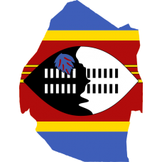 Swaziland 2025 Fresh Update: Consumer Email Database