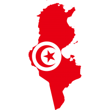 Tunisia 2025 Fresh Update: Consumer Email Database