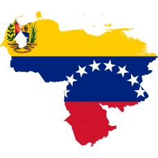 Venezuela 2025 Fresh Update: Consumer Email Database