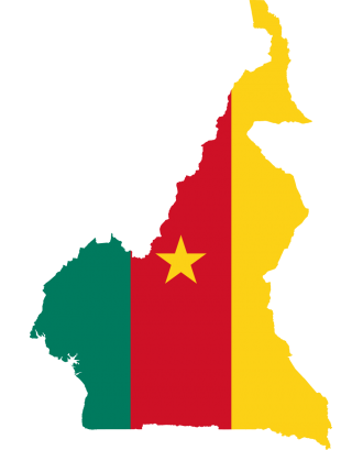 Cameroon 2024 Fresh Update: Consumer Email Database
