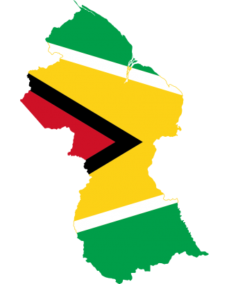 Guyana Emails List